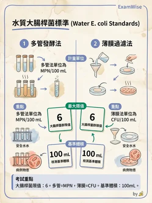 GHP - 食品良好衛生規範 - AI 圖文解析預覽