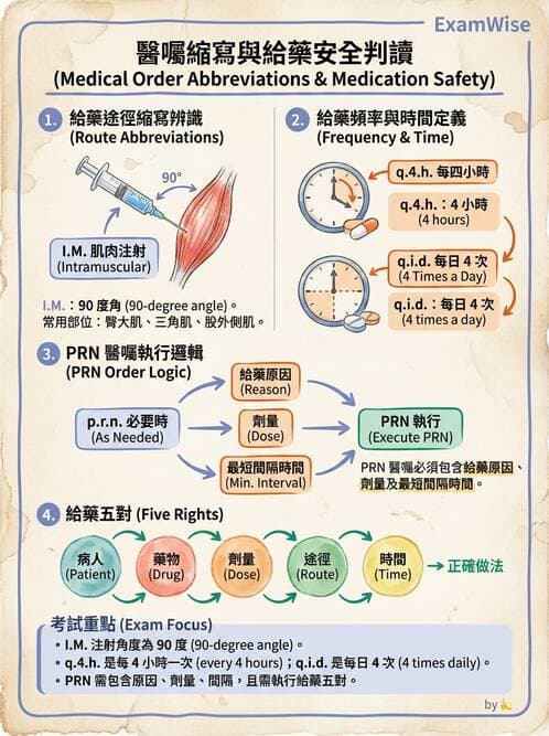 護理師 - 注射技術 - AI 圖文解析預覽