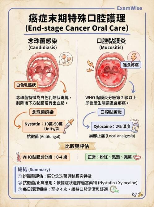 護理師 - 個人衛生與舒適照護 - AI 圖文解析預覽