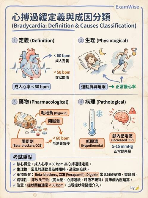 護理師 - 循環評估(脈搏與血壓) - AI 圖文解析預覽