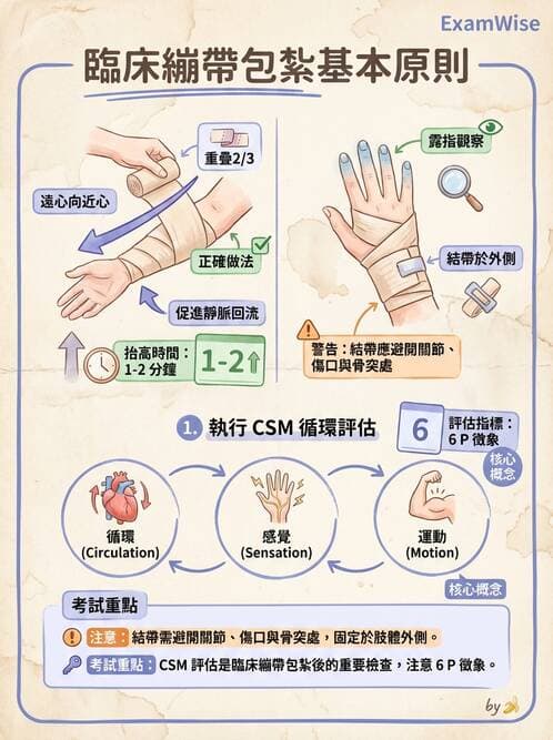 護理師 - 運動功能與傷口護理 - AI 圖文解析預覽