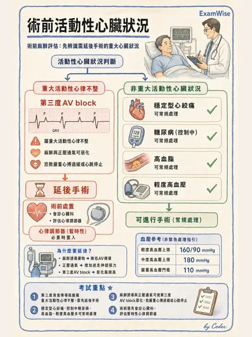 麻醉專護 - 心血管疾病術前評估 - AI 圖文解析預覽