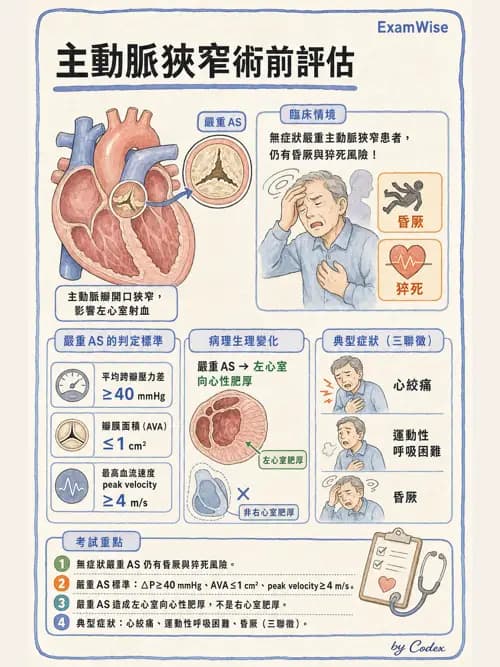 麻醉專護 - 心血管疾病術前評估 - AI 圖文解析預覽