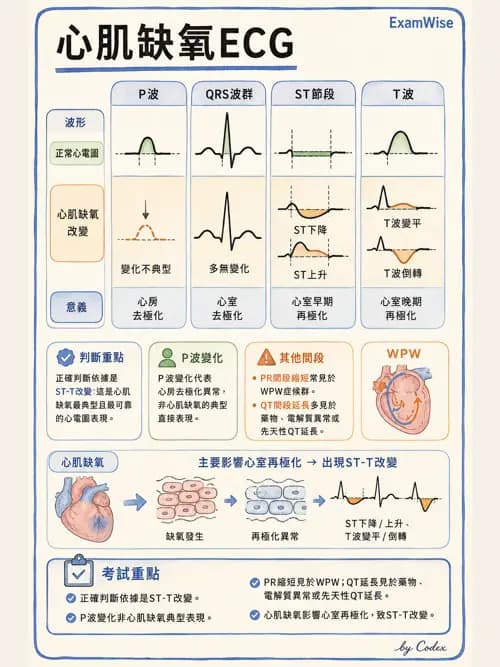 麻醉專護 - 心血管疾病術前評估 - AI 圖文解析預覽