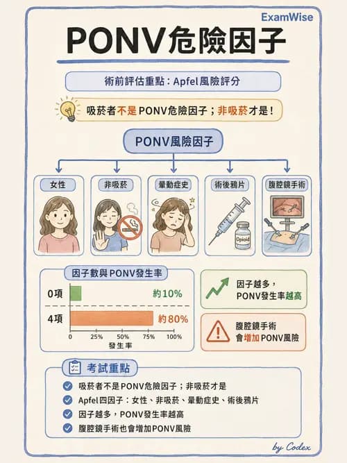 麻醉專護 - 麻醉恢復室照護與術後併發症 - AI 圖文解析預覽