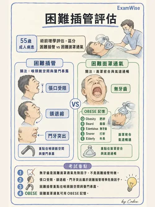 麻醉專護 - 呼吸道評估與處置 - AI 圖文解析預覽