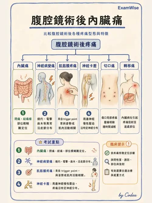 麻醉專護 - 疼痛處置與輸液輸血治療 - AI 圖文解析預覽