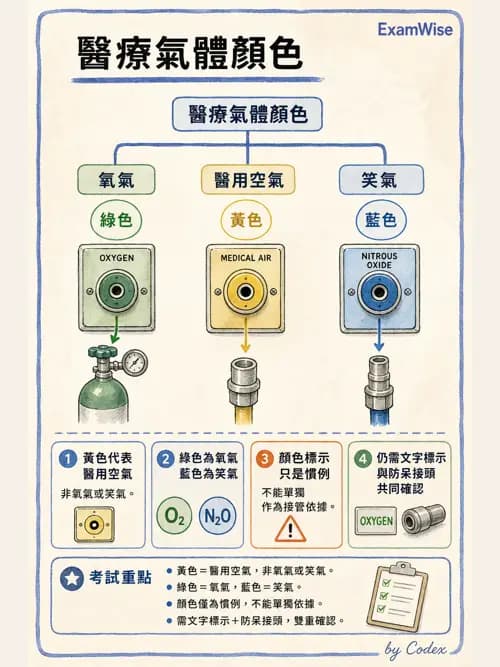 麻醉專護 - 麻醉機與呼吸系統 - AI 圖文解析預覽