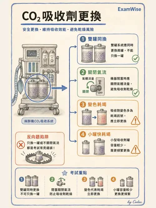 麻醉專護 - 麻醉機與呼吸系統 - AI 圖文解析預覽