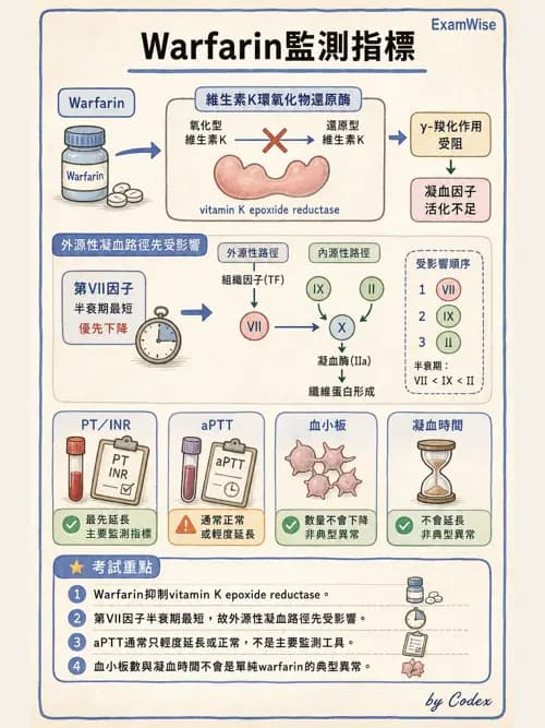 麻醉專護 - 一般術前評估、ASA分級與用藥管理 - AI 圖文解析預覽