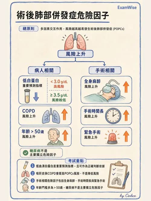 麻醉專護 - 呼吸系統疾病術前評估 - AI 圖文解析預覽