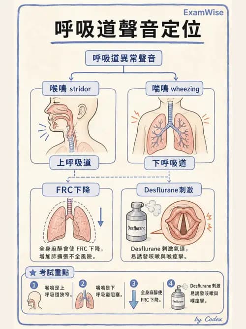 麻醉專護 - 呼吸系統疾病術前評估 - AI 圖文解析預覽