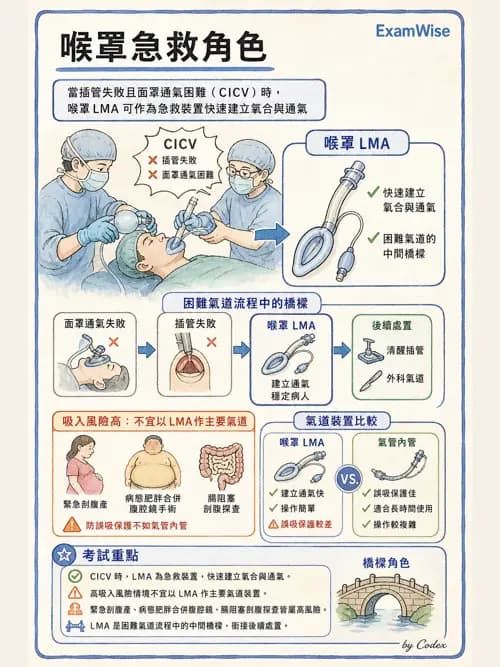 麻醉專護 - 呼吸道評估與處置 - AI 圖文解析預覽
