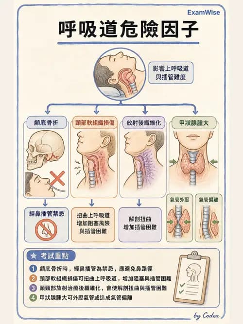 麻醉專護 - 呼吸道評估與處置 - AI 圖文解析預覽