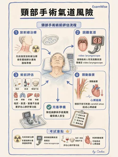 麻醉專護 - 各科手術與特殊族群麻醉 - AI 圖文解析預覽