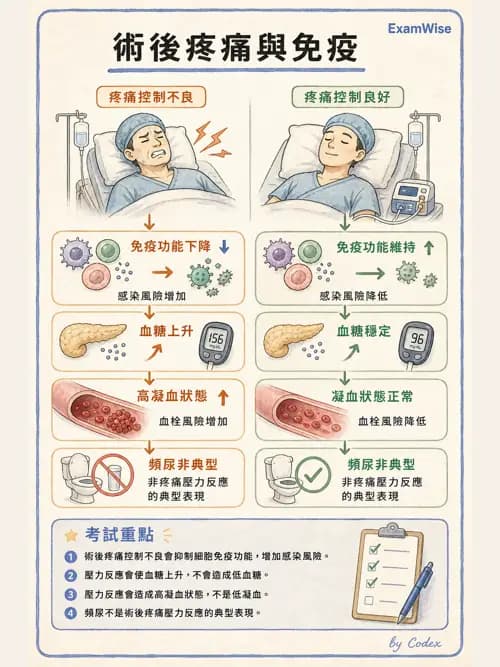 麻醉專護 - 疼痛處置與輸液輸血治療 - AI 圖文解析預覽