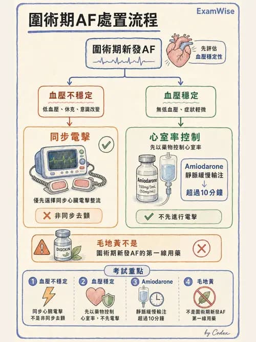 麻醉專護 - 心血管疾病術前評估 - AI 圖文解析預覽