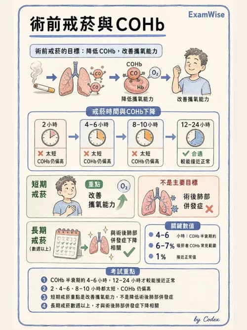 麻醉專護 - 呼吸系統疾病術前評估 - AI 圖文解析預覽