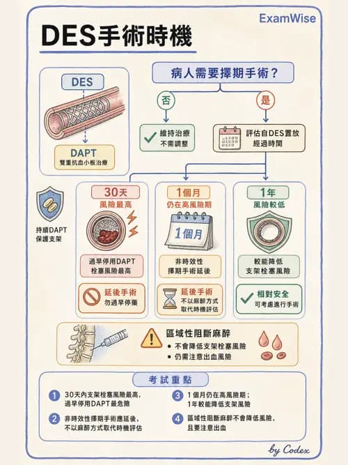 麻醉專護 - 心血管疾病術前評估 - AI 圖文解析預覽
