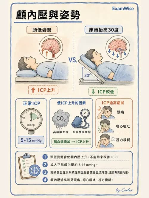 麻醉專護 - 腎臟肝臟疾病與神經生理評估 - AI 圖文解析預覽