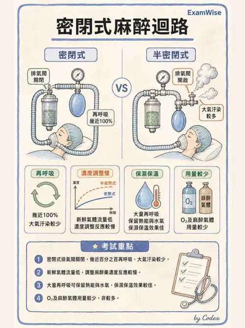 麻醉專護 - 麻醉機與呼吸系統 - AI 圖文解析預覽