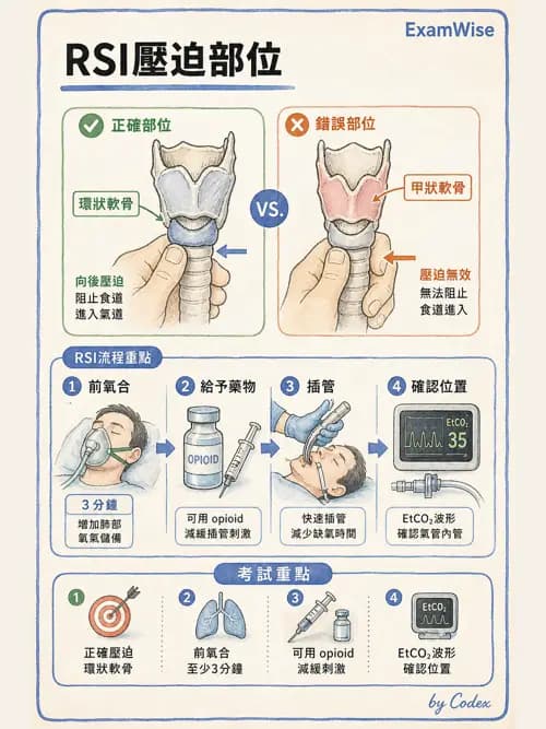 麻醉專護 - 區域麻醉與術中麻醉技巧 - AI 圖文解析預覽
