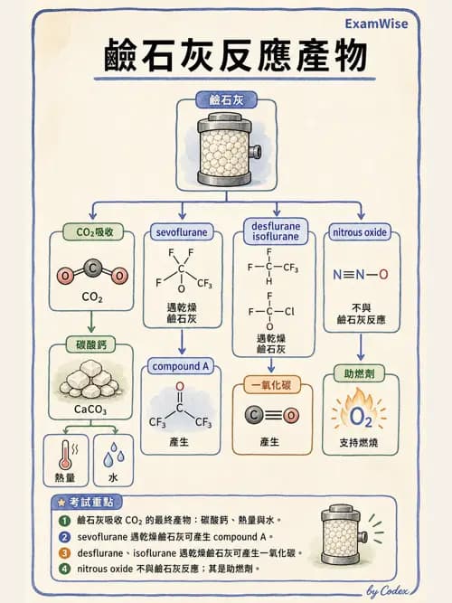 麻醉專護 - 麻醉機與呼吸系統 - AI 圖文解析預覽