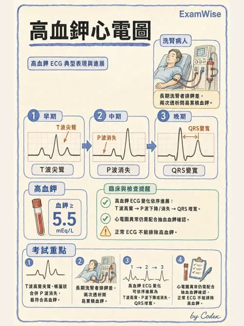 麻醉專護 - 腎臟肝臟疾病與神經生理評估 - AI 圖文解析預覽