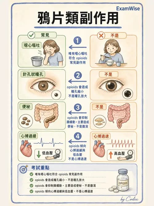 麻醉專護 - 麻醉藥物藥理與肌肉鬆弛劑 - AI 圖文解析預覽