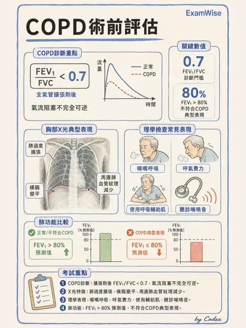 麻醉專護 - 呼吸系統疾病術前評估 - AI 圖文解析預覽