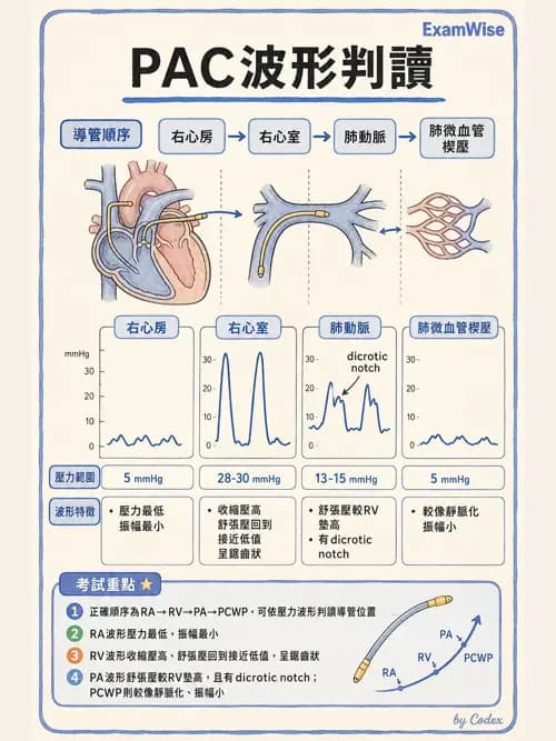 麻醉專護 - 術中生理監測技術 - AI 圖文解析預覽