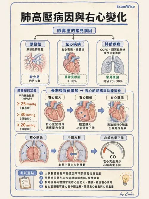 麻醉專護 - 呼吸系統疾病術前評估 - AI 圖文解析預覽