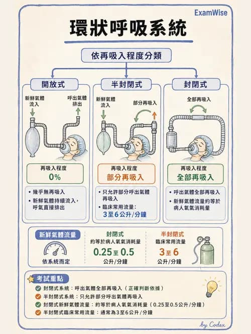 麻醉專護 - 麻醉機與呼吸系統 - AI 圖文解析預覽