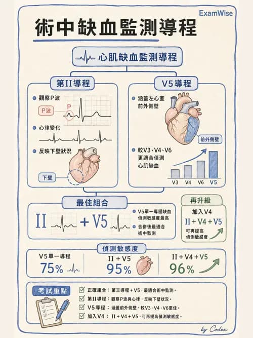 麻醉專護 - 術中生理監測技術 - AI 圖文解析預覽