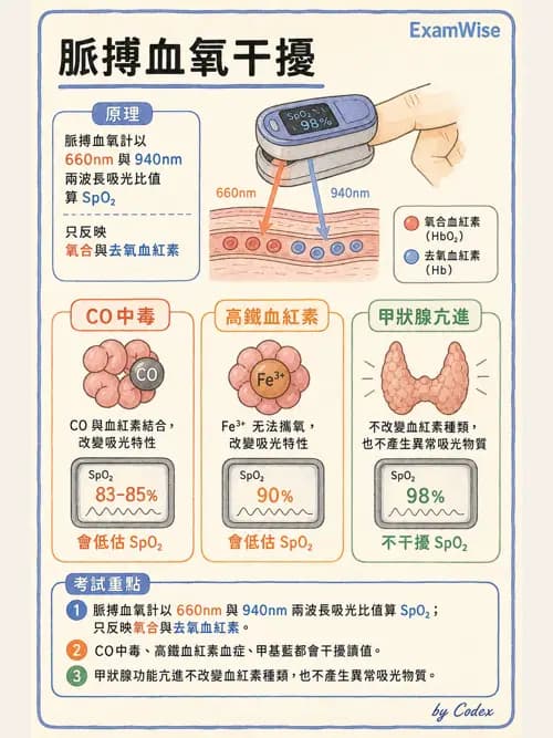 麻醉專護 - 術中生理監測技術 - AI 圖文解析預覽