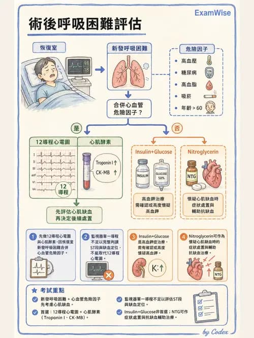麻醉專護 - 麻醉恢復室照護與術後併發症 - AI 圖文解析預覽