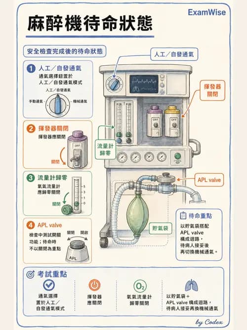 麻醉專護 - 麻醉機與呼吸系統 - AI 圖文解析預覽