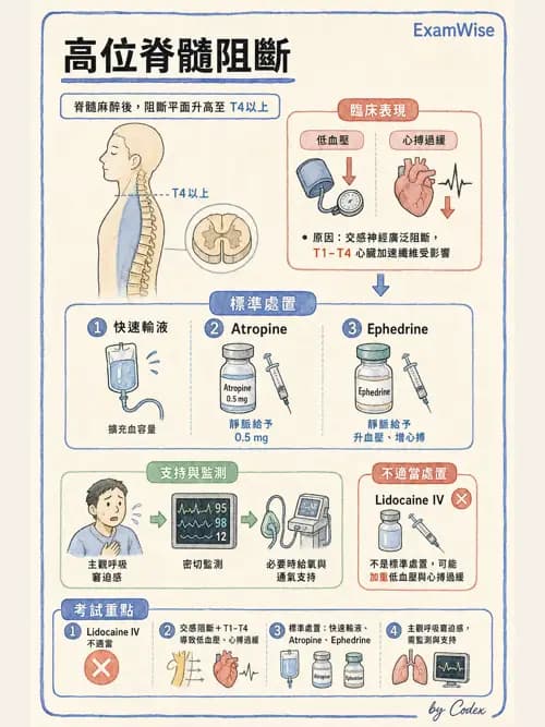 麻醉專護 - 區域麻醉與術中麻醉技巧 - AI 圖文解析預覽