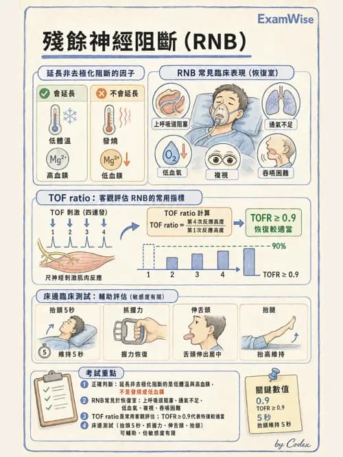 麻醉專護 - 麻醉恢復室照護與術後併發症 - AI 圖文解析預覽