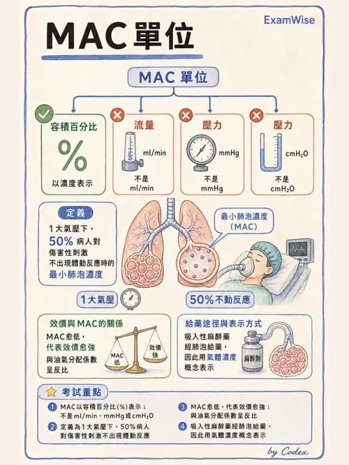 麻醉專護 - 鎮靜安眠藥、吸入性麻醉藥與TIVA - AI 圖文解析預覽