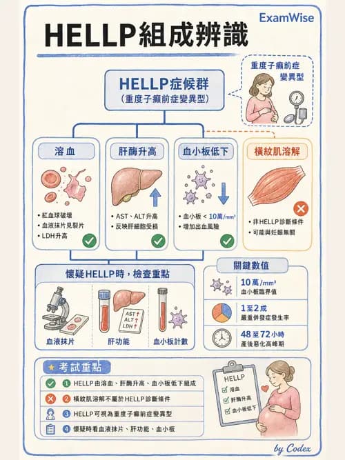 麻醉專護 - 產科麻醉 - AI 圖文解析預覽