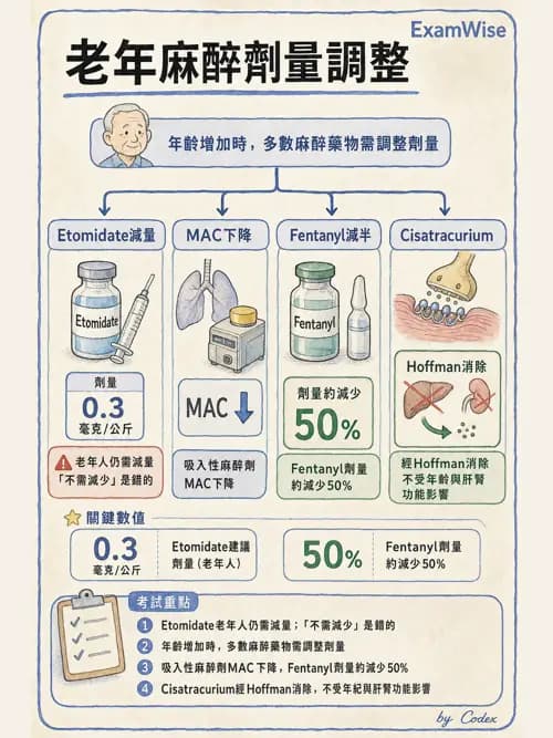 麻醉專護 - 老年麻醉 - AI 圖文解析預覽