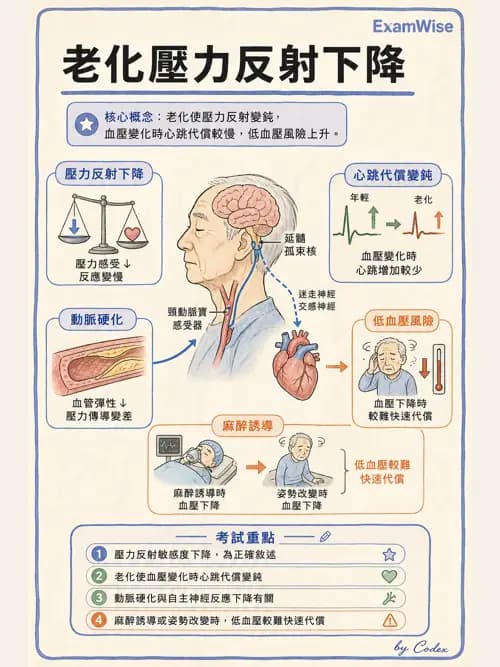 麻醉專護 - 老年麻醉 - AI 圖文解析預覽