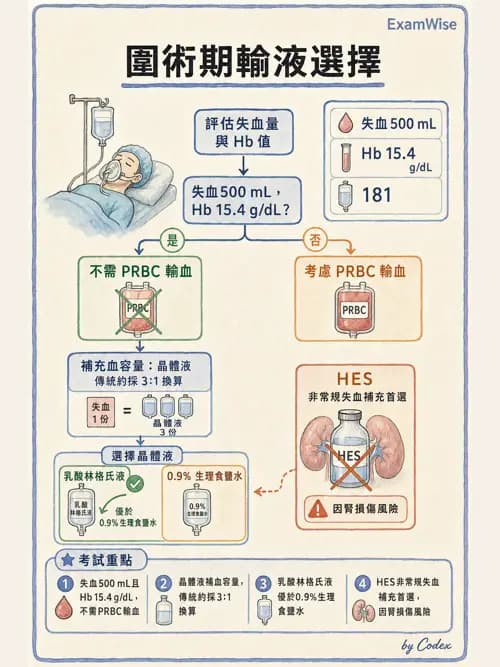 麻醉專護 - 體溫調節與大量輸血 - AI 圖文解析預覽