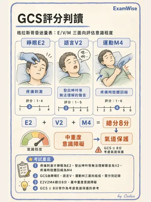 麻醉專護 - 創傷、燒傷與重症麻醉 - AI 圖文解析預覽