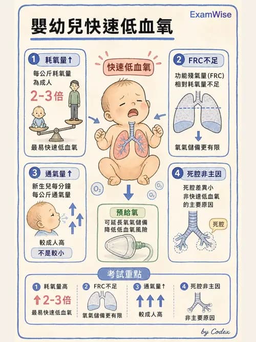 麻醉專護 - 小兒麻醉 - AI 圖文解析預覽