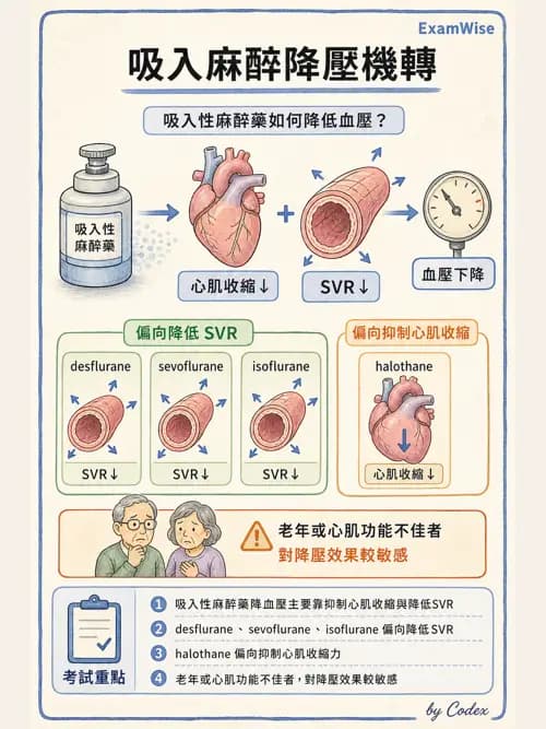 麻醉專護 - 鎮靜安眠藥、吸入性麻醉藥與TIVA - AI 圖文解析預覽