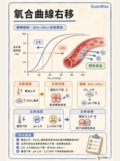 麻醉專護 - 泌尿/婦科/機器人腹腔鏡手術麻醉 - AI 圖文解析預覽