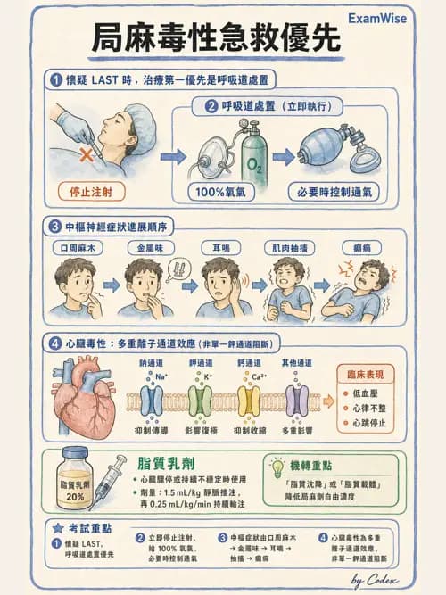 LAST - 局部麻醉藥與全身毒性反應 - AI 圖文解析預覽
