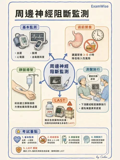 麻醉專護 - 周邊神經阻斷術 - AI 圖文解析預覽